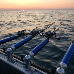 Lake Erie Walleye Charter - August 2019