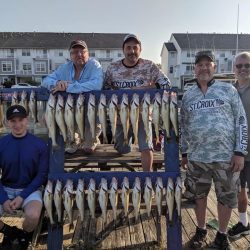 Lake Erie Walleye Charter - August 2019