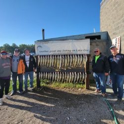 September 15 - Lake Erie Walleye