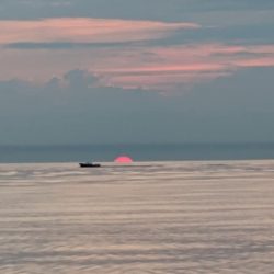 Lake Erie Walleye Charter - July 2019