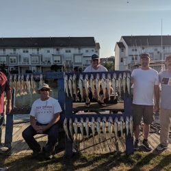 Lake Erie Walleye Charter - July 2019