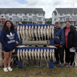 Lake Erie Walleye Charter - July 2019