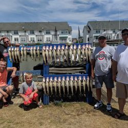 Lake Erie Walleye Charter - July 2019