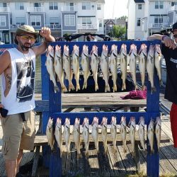 Lake Erie Walleye Charter - July 2019