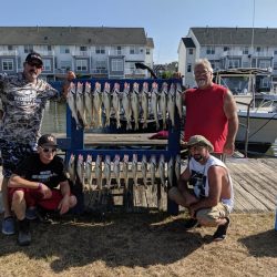 Lake Erie Walleye Charter - July 2019