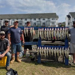 Lake Erie Walleye Charter - July 2019