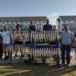 Lake Erie Walleye Charter - July 2019