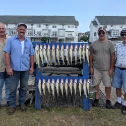 Lake Erie Walleye Charter - July 2019