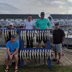 Lake Erie Walleye Charter - July 2019