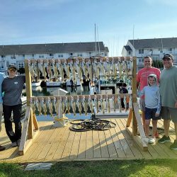 July 8, 2023 - Blue Dolphin Walleye