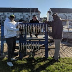 Lake Erie Walleye Charter - June 2019