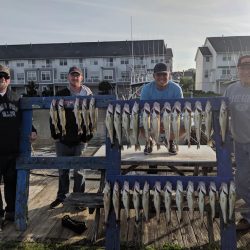 Lake Erie Walleye Charter - June 2019