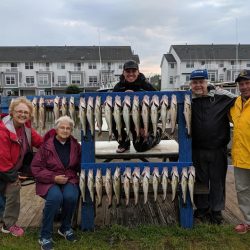 Lake Erie Walleye Charter - June 2019