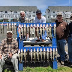 Lake Erie Walleye Charter - June 2019