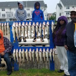 Lake Erie Walleye Charter - June 2019