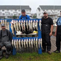 Lake Erie Walleye Charter - June 2019