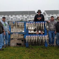 Lake Erie Walleye Charter - June 2019