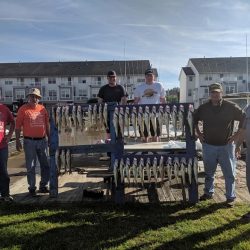 Lake Erie Walleye Charter - June 2019