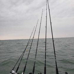 Lake Erie Walleye Charters ~ 4/19