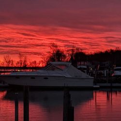 Lake Erie Walleye Charters ~ 4/19