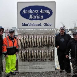 Lake Erie Walleye 5/2019