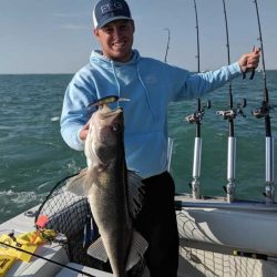 Lake Erie Walleye 5/2019